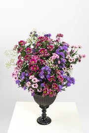 Just a Little Obsessed