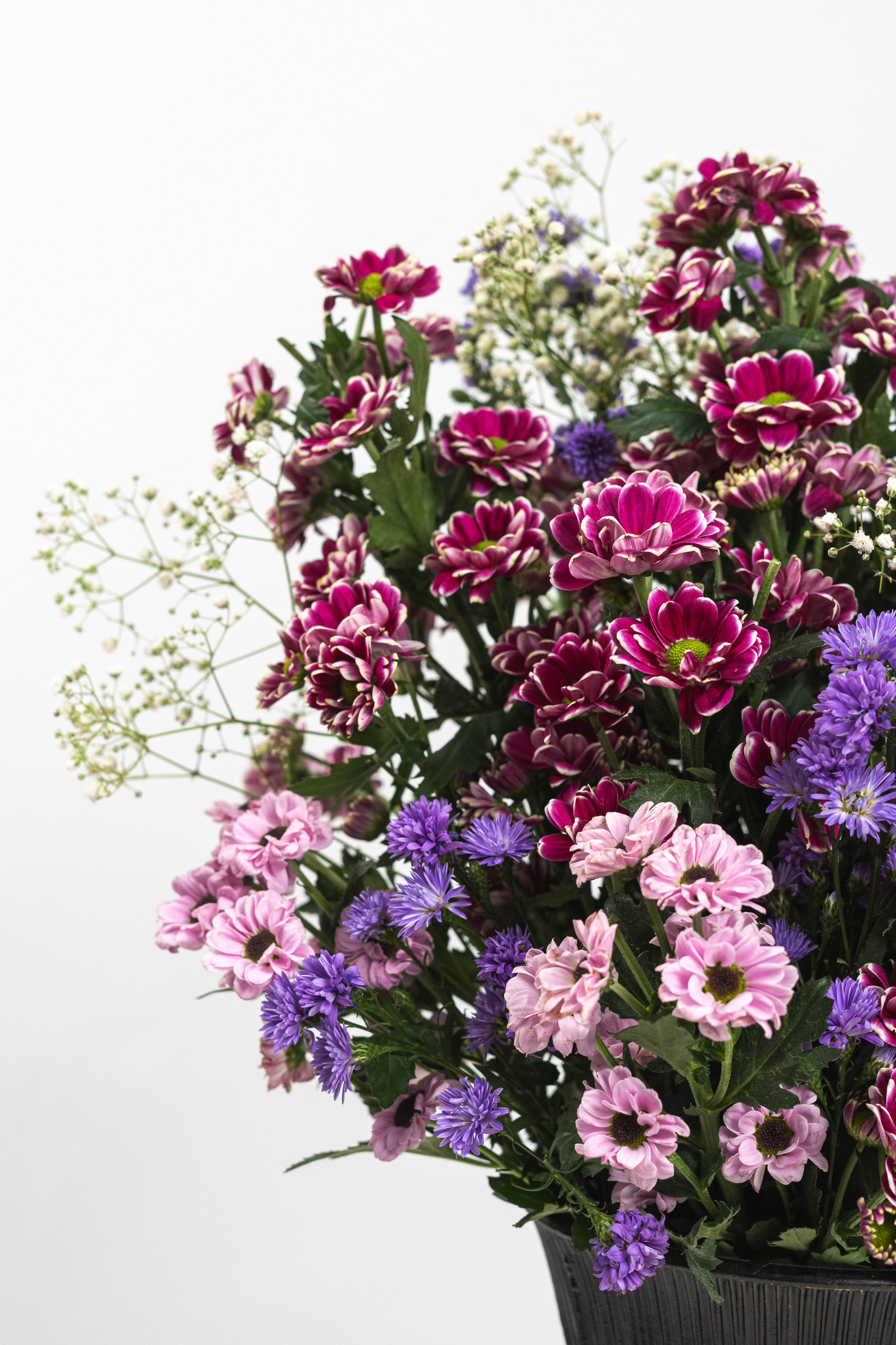 Just a Little Obsessed