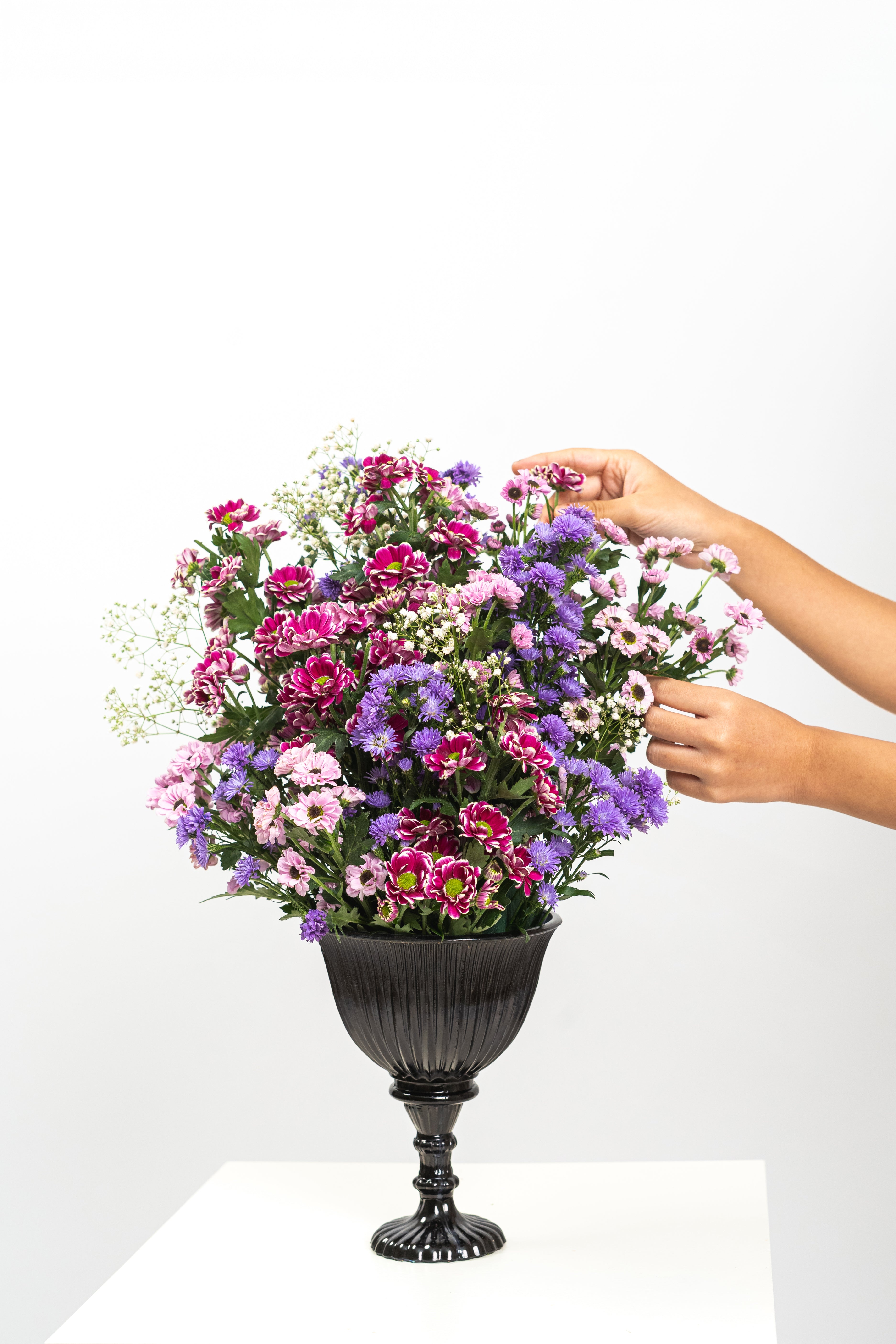 Just a Little Obsessed